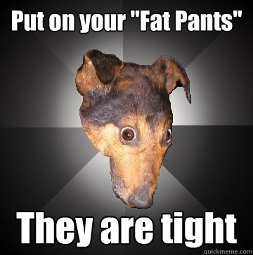 put on your fat pants they are tight - Depression Dog