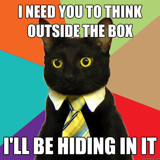 i need you to think outside the box ill be hiding in it - Business Cat