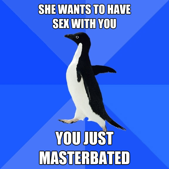 she wants to have sex with you you justmasterbated - Socially Awkward Penguin