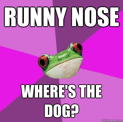 runny nose wheres the dog - Foul Bachelorette Frog