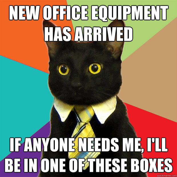 new office equipment has arrived if anyone needs me ill be - Business Cat