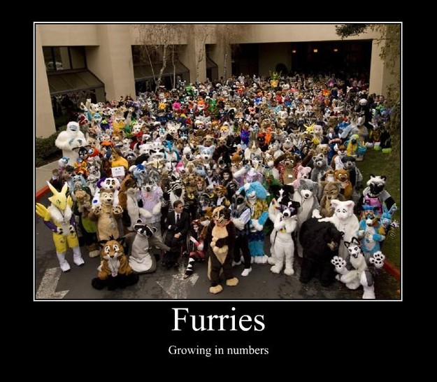 furries growing in numbers - Random Poster