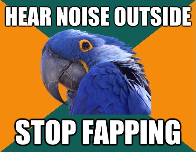 hear noise outside stop fapping - Paranoid Parrot
