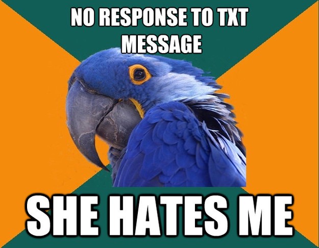 no response to txt message she hates me - Paranoid Parrot