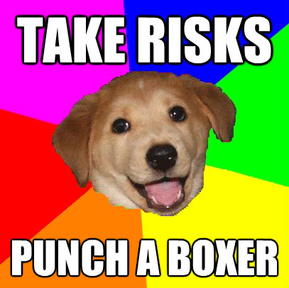 take risks punch a boxer - Advice Dog