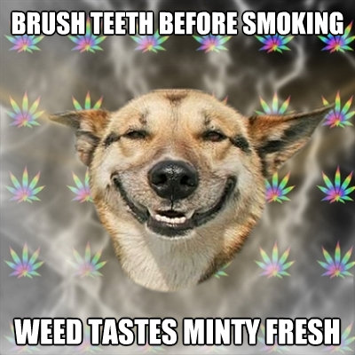 brush teeth before smoking weed tastes minty fresh - Stoner Dog