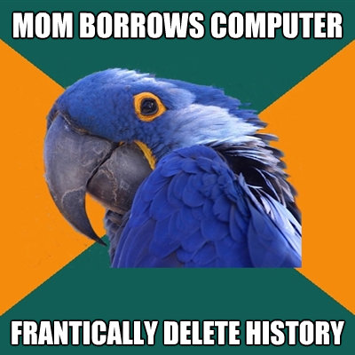 mom borrows computer frantically delete history - Paranoid Parrot