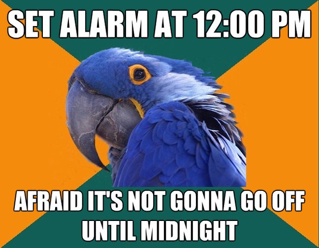 set alarm at 1200 pm afraid its not gonna go off until mid - Paranoid Parrot