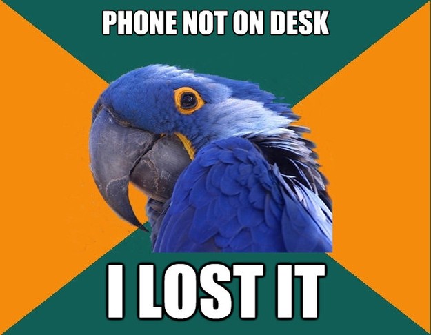 phone not on desk i lost it - Paranoid Parrot