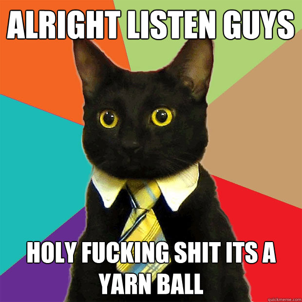 alright listen guys holy fucking shit its a yarn ball - Business Cat
