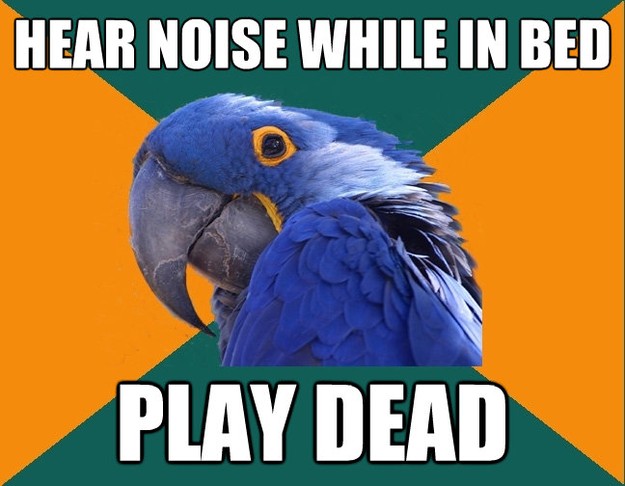 hear noise while in bed play dead - Paranoid Parrot
