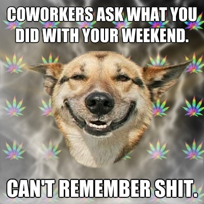 coworkers ask what you did with your weekend cant remember - Stoner Dog