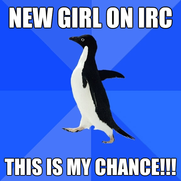 new girl on irc this is my chance - Socially Awkward Penguin