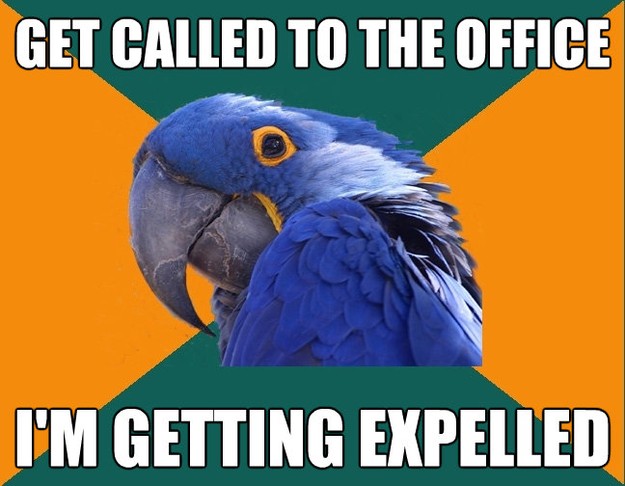 get called to the office im getting expelled - Paranoid Parrot