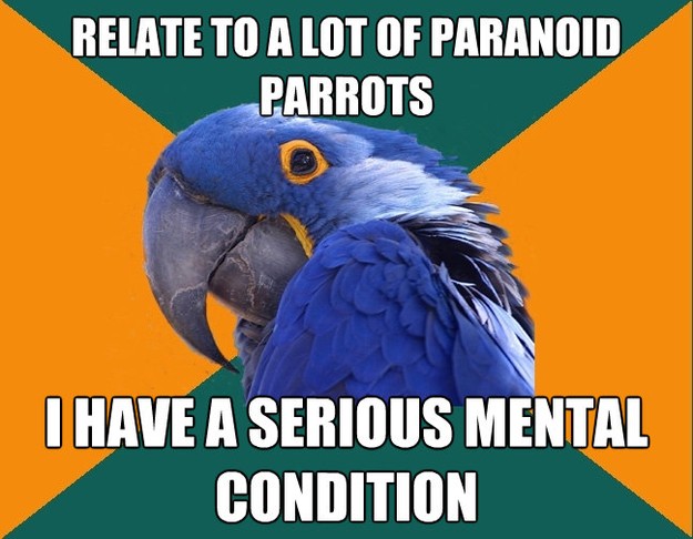 relate to a lot of paranoid parrots i have a serious mental - Paranoid Parrot