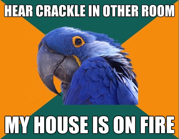 hear crackle in other room my house is on fire - Paranoid Parrot