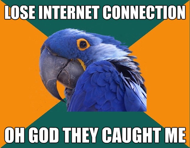 Paranoid Parrot - lose internet connection oh god they cau..