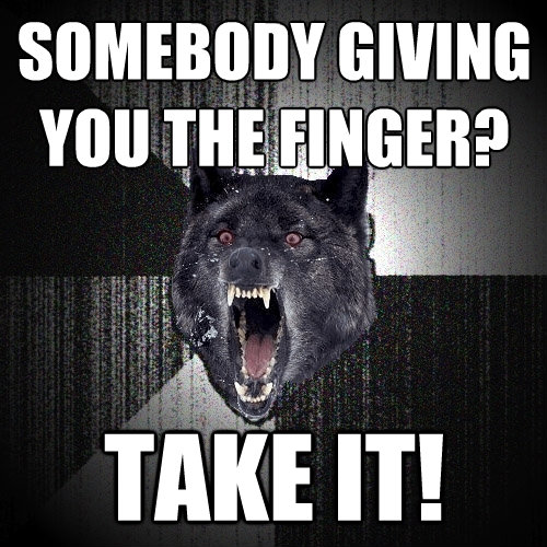 somebody giving you the finger take it - Insanity Wolf