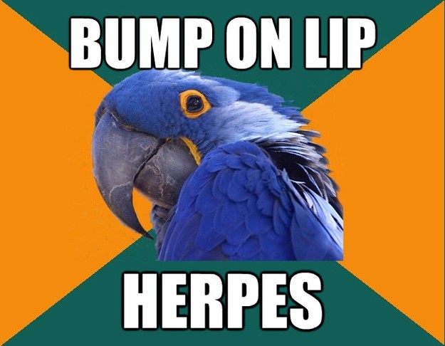 bump on lip herpes - Paranoid Parrot