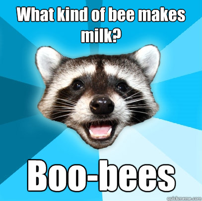 what kind of bee makes milk boobees - Lame Pun Coon
