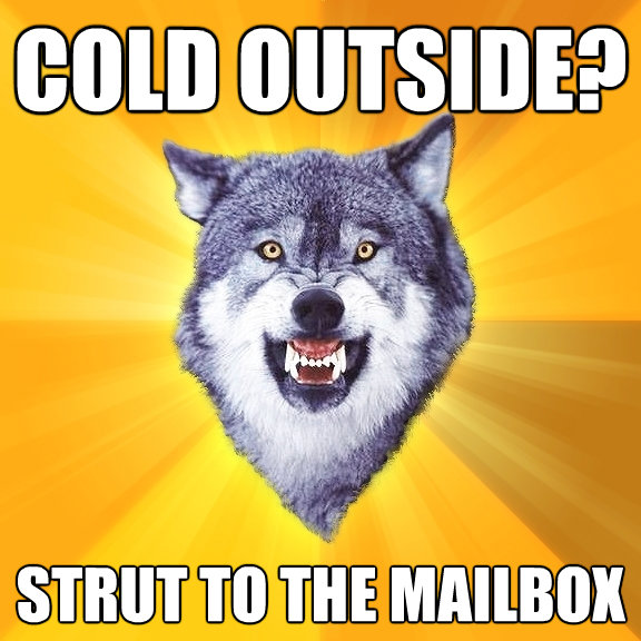 Courage Wolf Cold