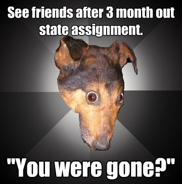 see friends after 3 month out state assignment you were go - Depression Dog