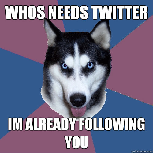 whos needs twitter im already following you - Creeper Canine