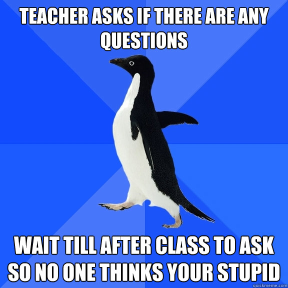 teacher asks if there are any questions wait till after clas - Socially Awkward Penguin