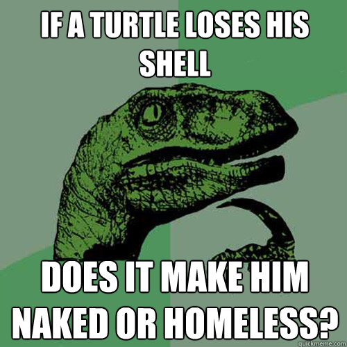 if a turtle loses his shell does it make him naked or homele - Philosoraptor