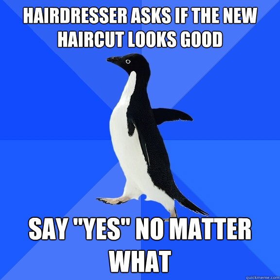 hairdresser asks if the new haircut looks good say yes no - Socially Awkward Penguin