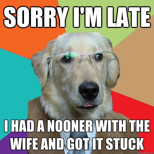 sorry im late i had a nooner with the wife and got it stuck - Business Dog