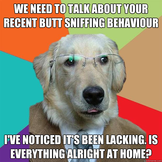 we need to talk about your recent butt sniffing behaviour i - Business Dog