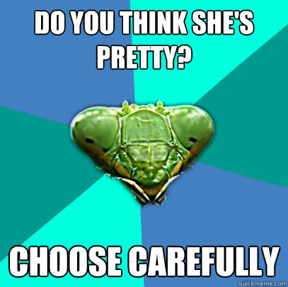 do you think shes pretty choose carefully - Crazy Girlfriend Praying Mantis