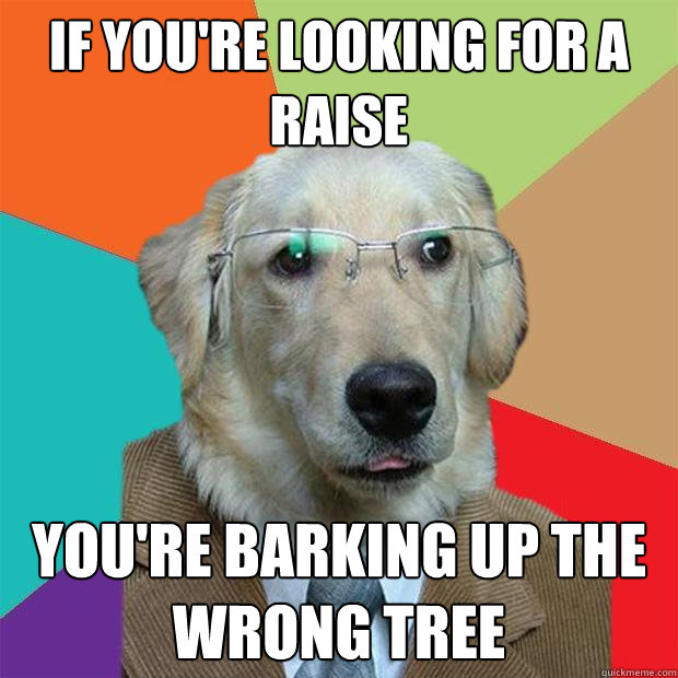 if youre looking for a raise youre barking up the wrong tr - Business Dog