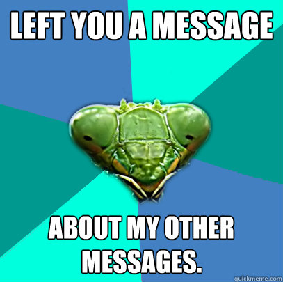 left you a message about my other messages - Crazy Girlfriend Praying Mantis