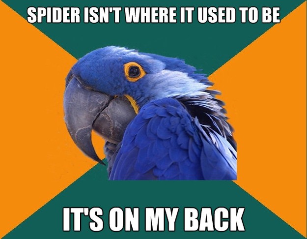 spider isnt where it used to be its on my back - Paranoid Parrot