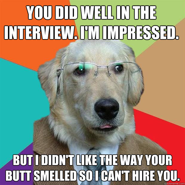 you did well in the interview im impressed but i didnt l - Business Dog