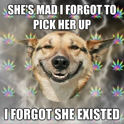 shes mad i forgot to pick her up i forgot she existed - Stoner Dog