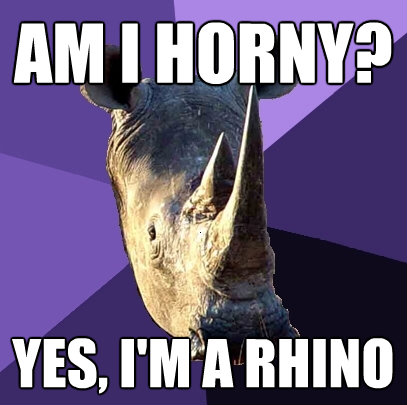 am i horny yes im a rhino - Sexually Oblivious Rhino