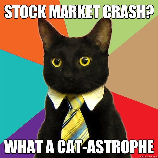 stock market crash what a catastrophe - Business Cat