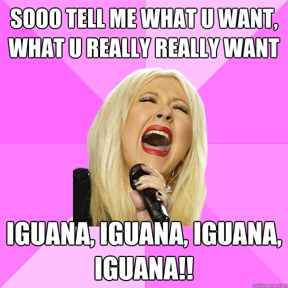 sooo tell me what u want what u really really want iguana - Wrong Lyrics Christina