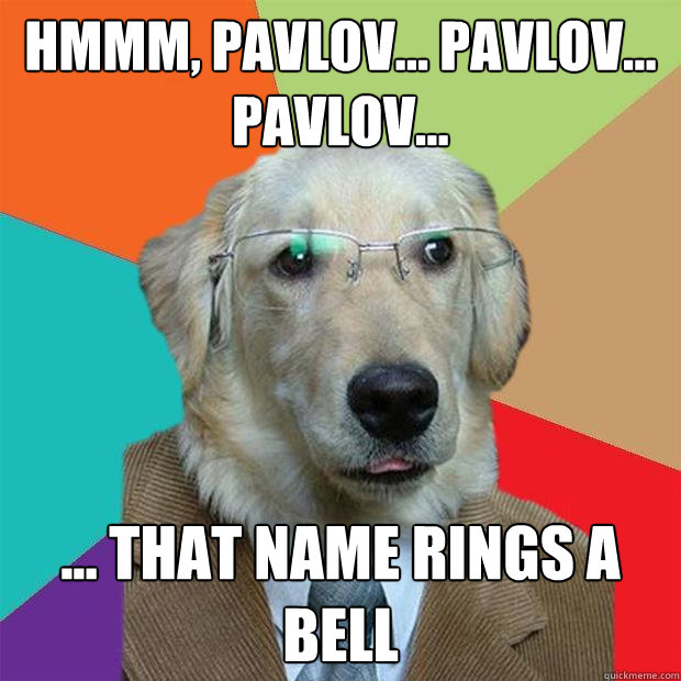 hmmm pavlov pavlov pavlov that name rings a be - Business Dog