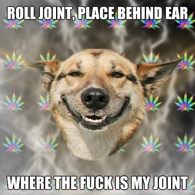roll joint place behind ear where the fuck is my joint - Stoner Dog