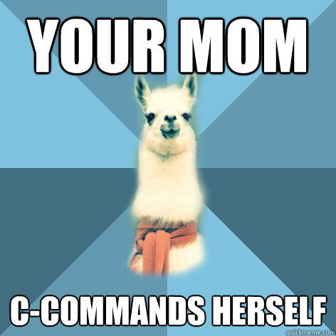 your mom ccommands herself - Linguist Llama