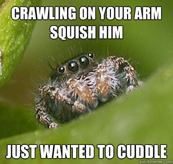 crawling on your arm squish him just wanted to cuddle - Misunderstood Spider