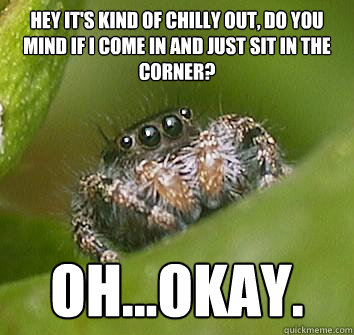 hey its kind of chilly out do you mind if i come in and ju - Misunderstood Spider