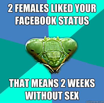 2 females liked your facebook status that means 2 weeks with - Crazy Girlfriend Praying Mantis