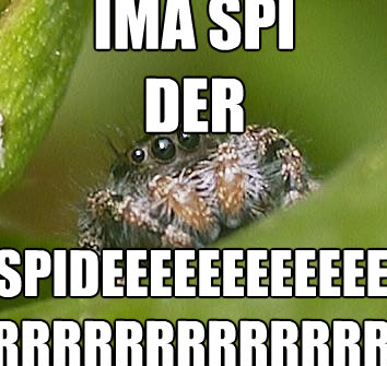 ima spi der spideeeeeeeeeeeerrrrrrrrrrrrrrrrrrrrrrrrrrrrrrrr - Misunderstood Spider