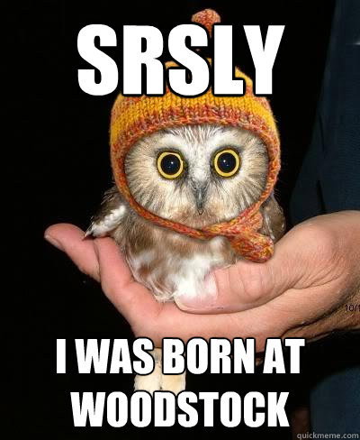 Srsly Owl
