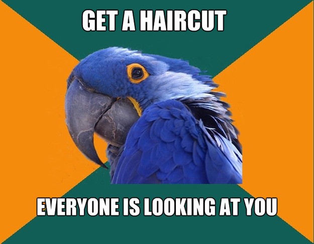 get a haircut everyone is looking at you - Paranoid Parrot